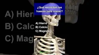 Quiz Cuerpo Humano 9 #quiz #quiztime #cultura #fypシ #fypシ゚viralシ #culturageneral  #fypシ #fypシ゚viral