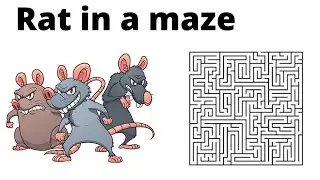 Rat in a maze | Backtracking | Hindi