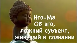 12. The ego, the false subject living in the consciousness.