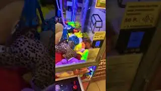 «лохотрон» говорили они