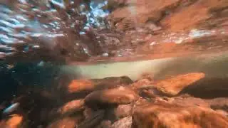 4k || Pisgah National Forest & Looking Glass Falls Waterfalls