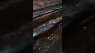 какая машина нужна для этого? #хабаровск