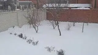 Snowfall in Astrakhan, Russia | Снегопад в Астрахани