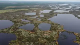 Верховые болота