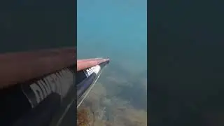 Denizin altındaki eşsiz güzellik ( Sinop Ayancık ) #shortvideo