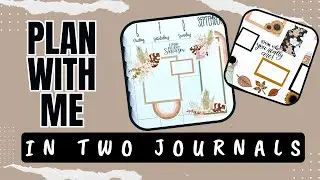 Plan With Me [In TWO Journals]