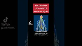Как снизить картизол!