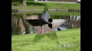 EVEN EEN PAAR RUSTIGE PLAATJES