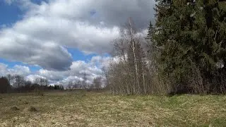 В поисках у старого ручья