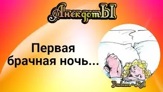 Первая Брачная Ночь... Сборник Весёлых Анекдотов!