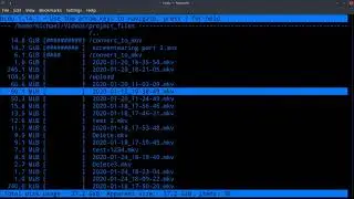 Find big files and directories in Linux (ncdu)