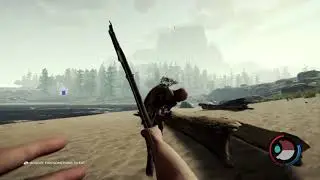 The Forest