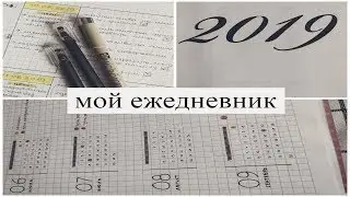 МОЙ ЕЖЕДНЕВНИК 2019 | ИДЕАЛЬНОЕ ПЛАНИРОВАНИЕ+ЧЕМ ОФОРМЛЯЮ