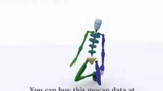 pay motion capture data Karate  -seiza-