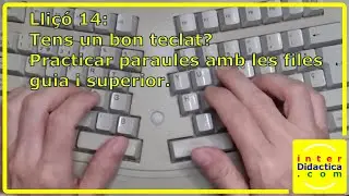 Lliçó 14: Tens un bon teclat? Practicar paraules amb les files guia i superior. Curs de Mecanografia