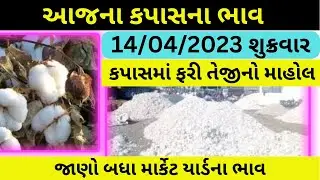 કપાસ ના ભાવ 2023 | 14-04-2023 | Kapas na bhav | ગોંડલ માર્કેટ યાર્ડ ના ભાવ | Cotton price today