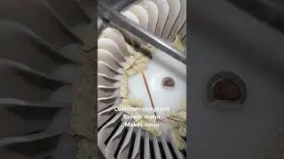 Customer complaint HVAC blower makes noise #blowermotor #kia #diy #howto
