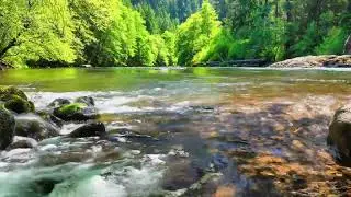 Sound of flowing water • deep relaxation, for sleeping, for meditation • nature relaxation