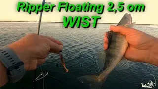 Судак на ультралайт. Приманка от Wist -  Ripper Floating 2,5 inch