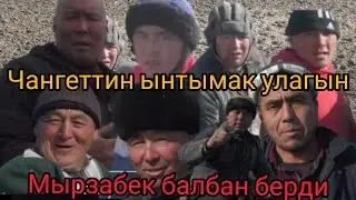 Чангет ЫНТЫМАК улагын МЫРЗАБЕК балбан берди ЭНИШ болду