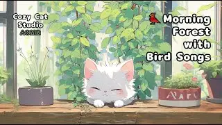 Morning Forest Bird Songs & Chill Piano for Relaxation 🌿🎹