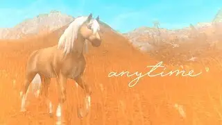 SSO || any time