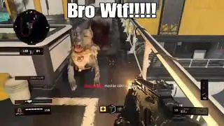 Bro WTF Dogs Are Retarded In Call of Duty Black Ops 4!!!!!!!!!