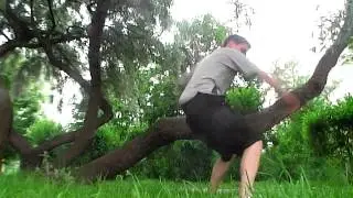 Tree - OneSpotStunts