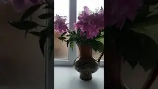 #доброе#утро #завтрак #блины #чай #цветы #дети#еда #родители #дагестан