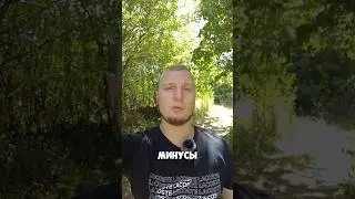 Минусы Словаков #shorts #плюсыиминусы #словакия #интересно #топ #подборки #словацкиелюди #люди #лес