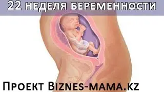 22 неделя беременности