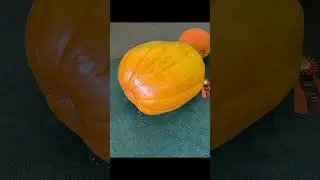 Went to the fair
