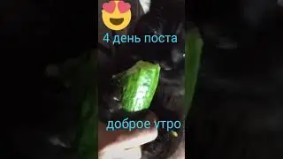 Офигеть просто