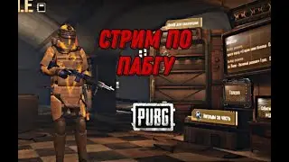 стрим по пабгу
