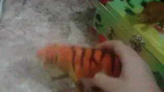 Старший брат
