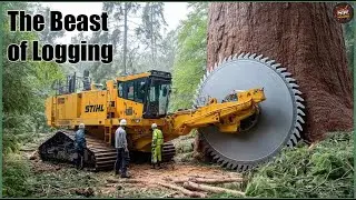 Top 5 Logging Machines So Brutal They Feel Illegal