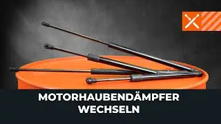 Gasdämpfer an der Motorhaube wechseln [AUTODOC TUTORIAL]