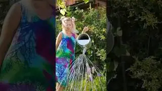 Чудеса да и только.Алиса в стране чудес.#shorts #shortvideo #сказка #дача #приколы #смех #юмор #fun