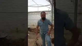 Biopiscinas: ¡El futuro de las piscinas!