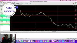 Всего 100$ на трейдинг. Сколько можно заработать? #3