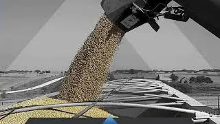 Sounds of Harvest: Transferring Soybeans into Semi
