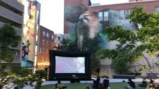 Summer Outdoor Movie Night in Allentown PA