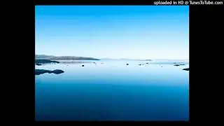 Whatever Did You Say