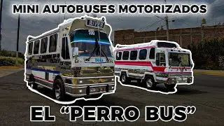 ¡Así fue manejar un MINI AUTOBÚS! | El perrito conductor | Russoh Busan