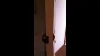 The Ingersoll SC71 10-lever Rim automatic deadlock - By Page Security - 0208 945 0010
