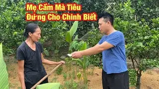 Con Trai Giấu Tiền Cho Mẹ Để Cho Mẹ Đỡ Khổ | Trường Tv