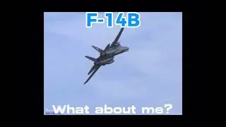 What About Me (Aviation Version) pt. 11 (End)