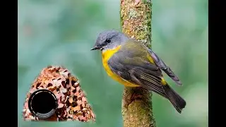 Birding/Twitching Stereotypes! The types of people you meet while out birding!