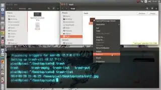 How to move Files to Trash from the terminal visualised on linux