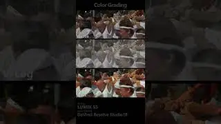 2023住吉祭 神輿渡御